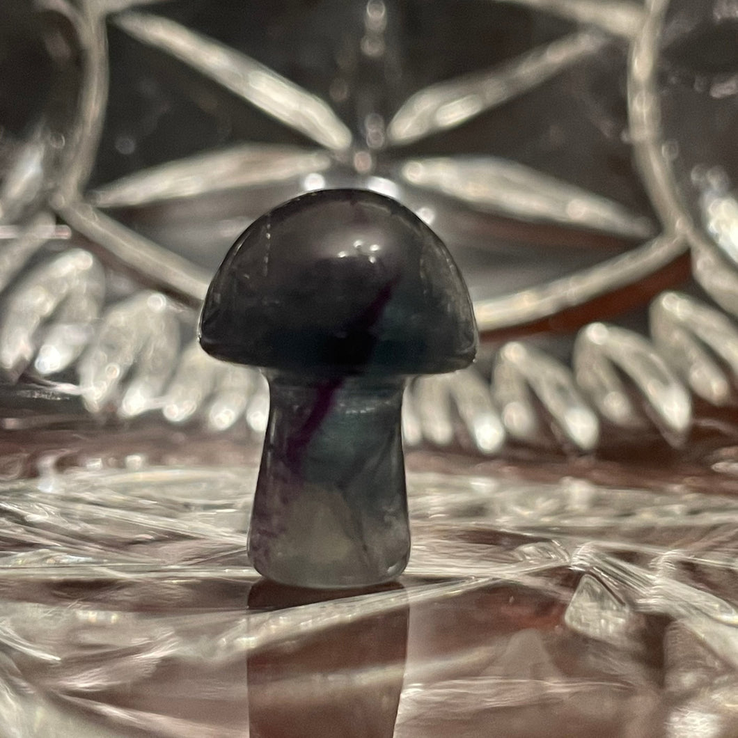 Rainbow Flourite Mini Mushroom