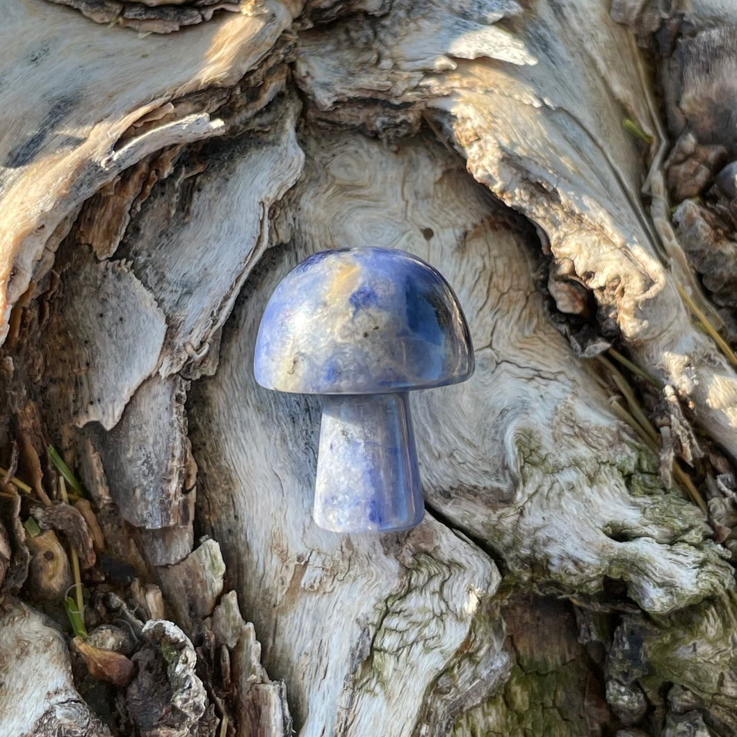 Sodalite Mini Mushroom
