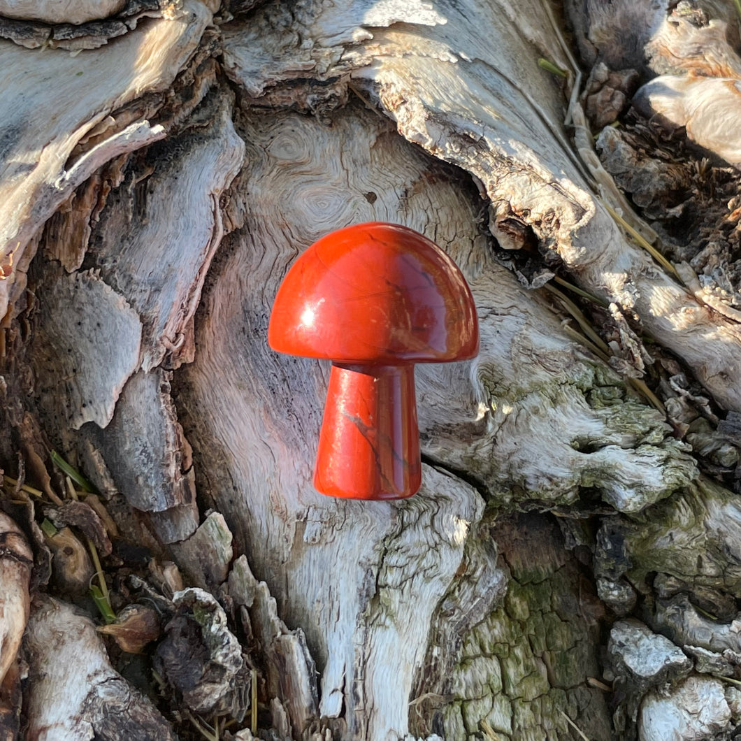 Red Jasper Mini Mushroom