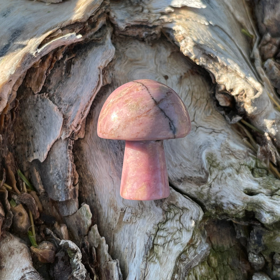 Rhodonite Mini Mushroom