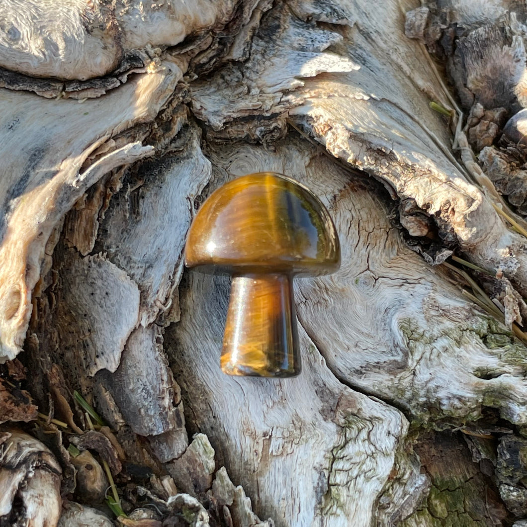 Tigers Eye Mini Mushroom